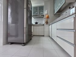 Fortune Park (D19), Condominium #480970111